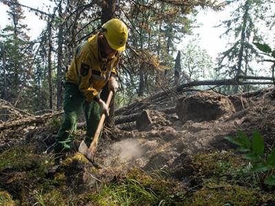 Площадь лесного пожара в заповеднике "Денежкин камень" увеличилась до 120 га