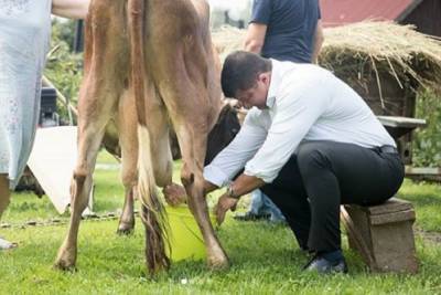 Бывший мэр Ярославля подергал корову за сиськи