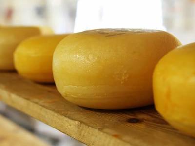 Названы главные признаки качественного натурального сыра
