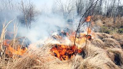 На Чукотке ухудшилась обстановка с лесными пожарами