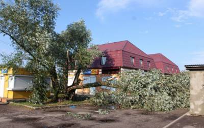 В Волынской области ветер срывал крыши с домов и валил деревья