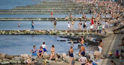 Власти Зеленоградска планируют на километр удлинить городской пляж в 2021 году