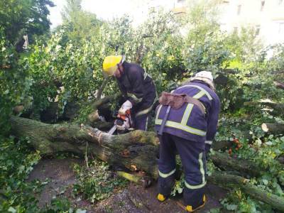 Сорванные крыши и поваленные деревья: в Украине бушевала стихия