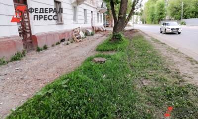 Депутат Госдумы обеспокоен вырубкой деревьев в Оренбурге