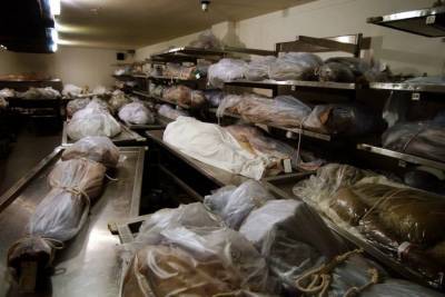 В Сирии нашли принадлежащее боевикам хранилище человеческих органов
