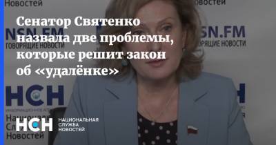 Сенатор Святенко назвала две проблемы, которые решит закон об «удалёнке»