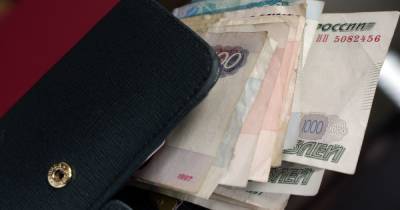 Россияне потратили часть "путинских" выплат на погашение микрозаймов