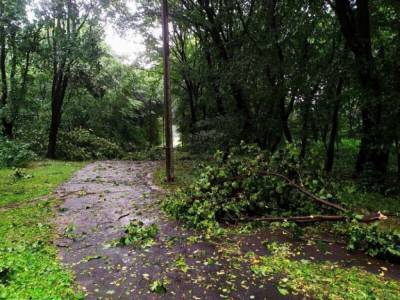 На Волыни и в Ровенской области бушевал ураган: во время разгула стихии снесло крыши домов, повалены деревья
