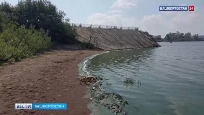 Башкирские экологи объяснили появление зеленой воды в Каме - vesti.ru - Башкирия - район Краснокамский