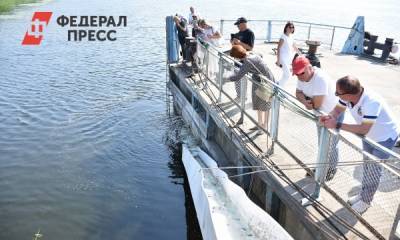 Сызранские нефтяники выпустили в Волгу свыше сотни тысяч мальков ценной рыбы