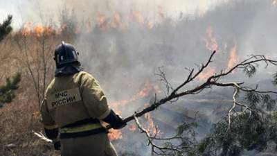 Более 100 человек тушат природный пожар в заповеднике на Урале