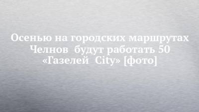 Осенью на городских маршрутах Челнов будут работать 50 «Газелей City» [фото]