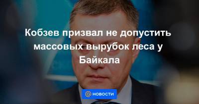 Кобзев призвал не допустить массовых вырубок леса у Байкала