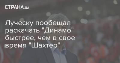 Луческу пообещал раскачать "Динамо" быстрее, чем в свое время "Шахтер"