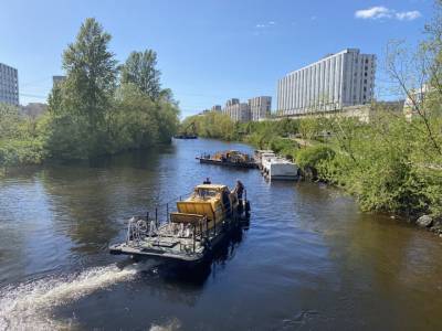 Определены самые загрязненные реки Петербурга