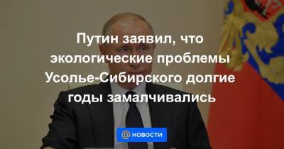 Путин заявил, что экологические проблемы Усолье-Сибирского долгие годы замалчивались
