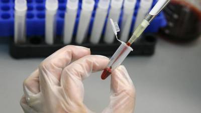 В Петербурге за сутки более 15 тысяч человек сдали тест на коронавирус