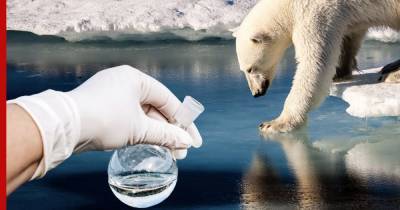 В морях Арктики ученые нашли «вечные» химикаты