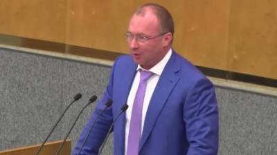 В ЦИК не будут проверять депутатов Госдумы на двойное гражданство
