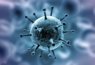 В Сосновом Бору подтверждено 666 случаев коронавируса