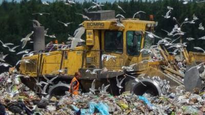 "Угроза мусорного коллапса": на Закарпатье за год накапливается более 300 тонн отходов, - ОГА