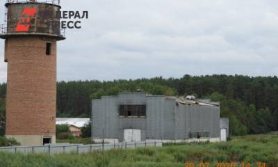 Жители Среднего Урала пожаловались в прокуратуру на запах птичьего помета с немецкого завода
