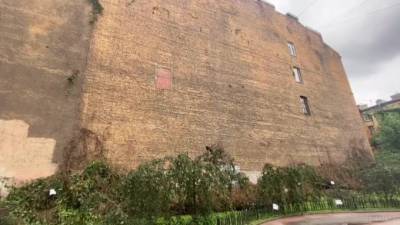 На улице Лизы Чайкиной обрушилась стена из дикого винограда, жители планируют ее восстановить