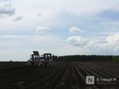 Сельскохозяйственное страхование оптимизируют в Нижегородской области