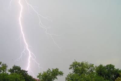 В Ленобласти объявили штормовое предупреждение на 30 июля