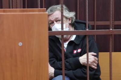 Суд продлил домашний арест Ефремову еще на полгода