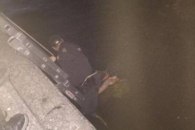 Женщина пыталась сделать селфи в центре Петербурга и упала в Крюков канал