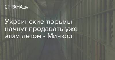 Украинские тюрьмы начнут продавать уже этим летом - Минюст