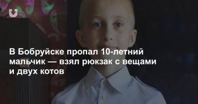 В Бобруйске пропал 10-летний мальчик — взял рюкзак с вещами и двух котов