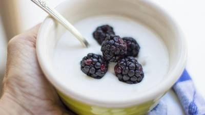 В Московской области рассказали об объёмах производства йогуртов