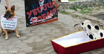 В Воронеже зоозащитники устроили пикет с гробом