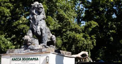 Охранная фирма заплатила Калининградскому зоопарку почти четверть миллиона за гибель 18 птиц - klops.ru