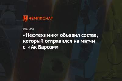 «Нефтехимик» объявил состав, который отправился на матчи с «Ак Барсом»