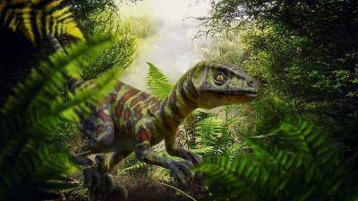 Ученые доказали факт происхождения динозавров от общего предка