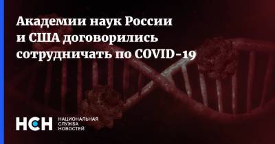 Академии наук России и США договорились сотрудничать по COVID-19