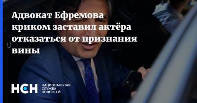 Адвокат Ефремова криком заставил актёра отказаться от признания вины