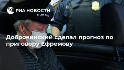 Добровинский сделал прогноз по приговору Ефремову