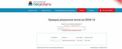 На Камчатке запустили онлайн-сервис проверки результатов теста на COVID-19