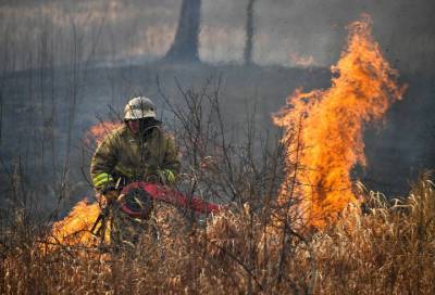 За сутки в России потушили 57 лесных пожаров