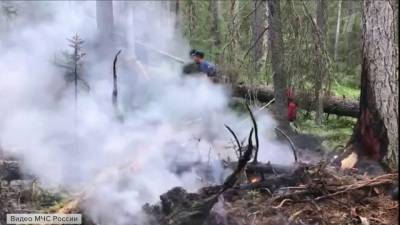 За сутки в России удалось ликвидировать около 60 природных пожаров