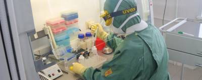 Новая вспышка коронавируса произошла в Марьяновском районе Омской области