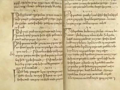 Лекарство из средневековой книги поможет в создании новых антибиотиков