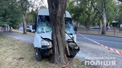 В Николаеве маршрутка влетела в дерево: пострадали 9 пассажиров