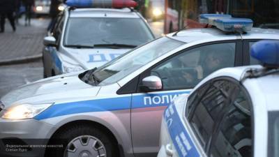 МВД: водитель микроавтобуса мог уснуть за рулем, что привело к гибели 8 человек в Крыму
