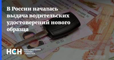 В России началась выдача водительских удостоверений нового образца