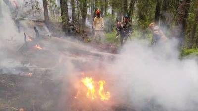 Пожар в заповеднике "Денежкин камень" в Свердловской области локализован